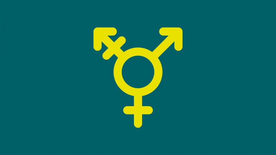 Icon Gender